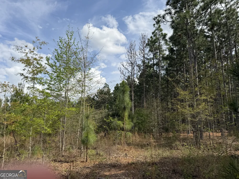 09 Barge RD Lumpkin, GA 31815