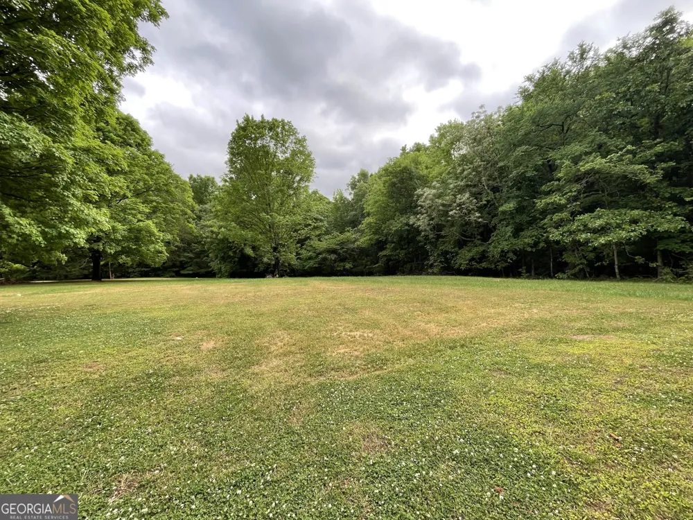 837 Bartram Trace RD Rayle, GA 30660