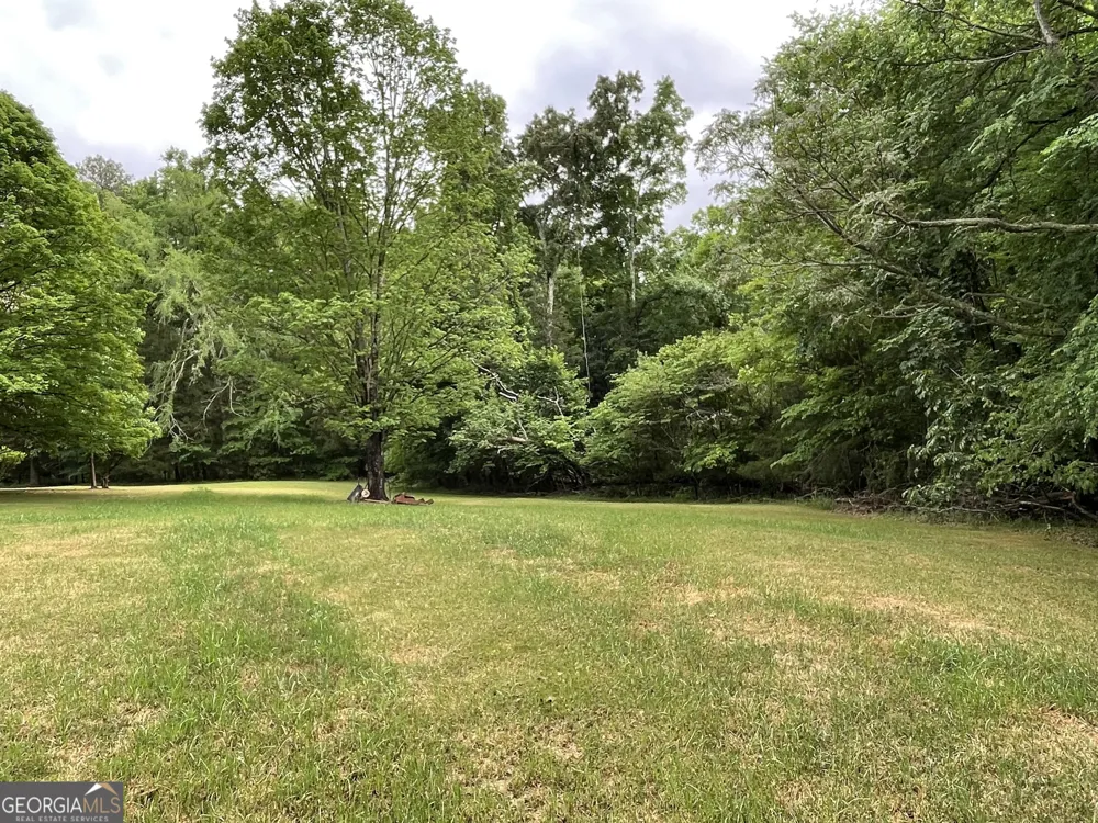 837 Bartram Trace RD Rayle, GA 30660