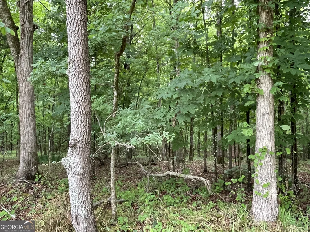 837 Bartram Trace RD Rayle, GA 30660