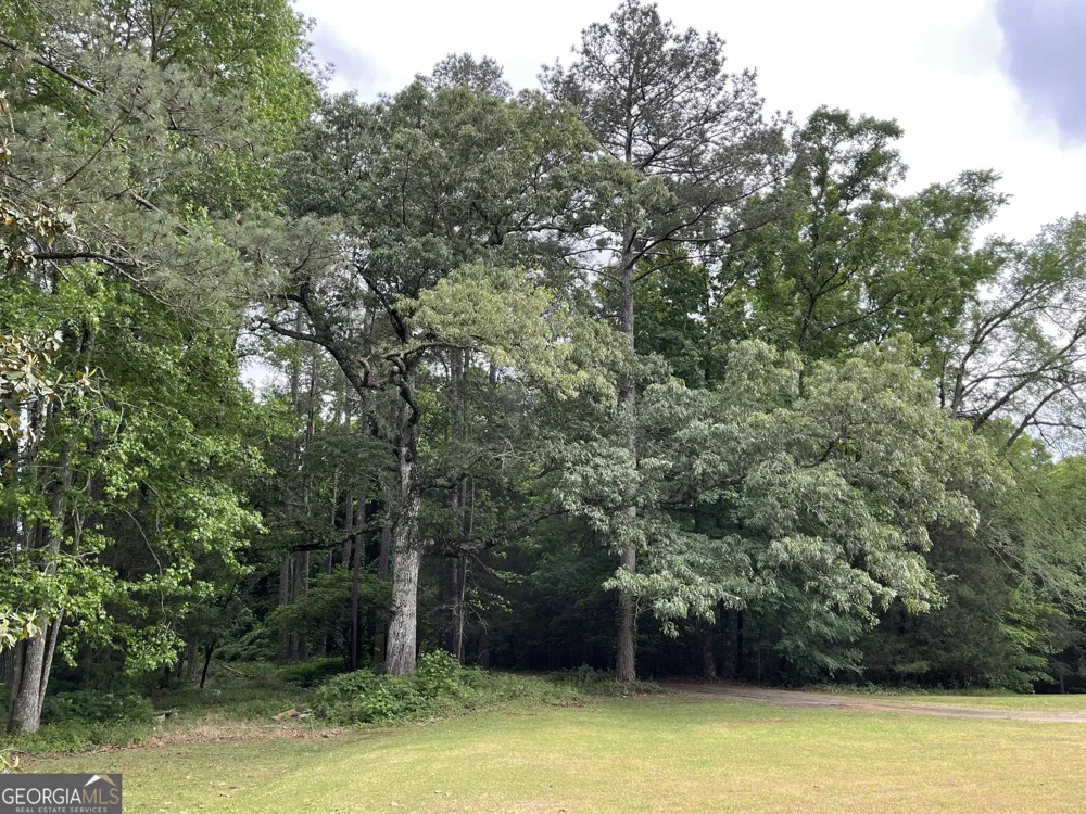 837 Bartram Trace RD Rayle, GA 30660