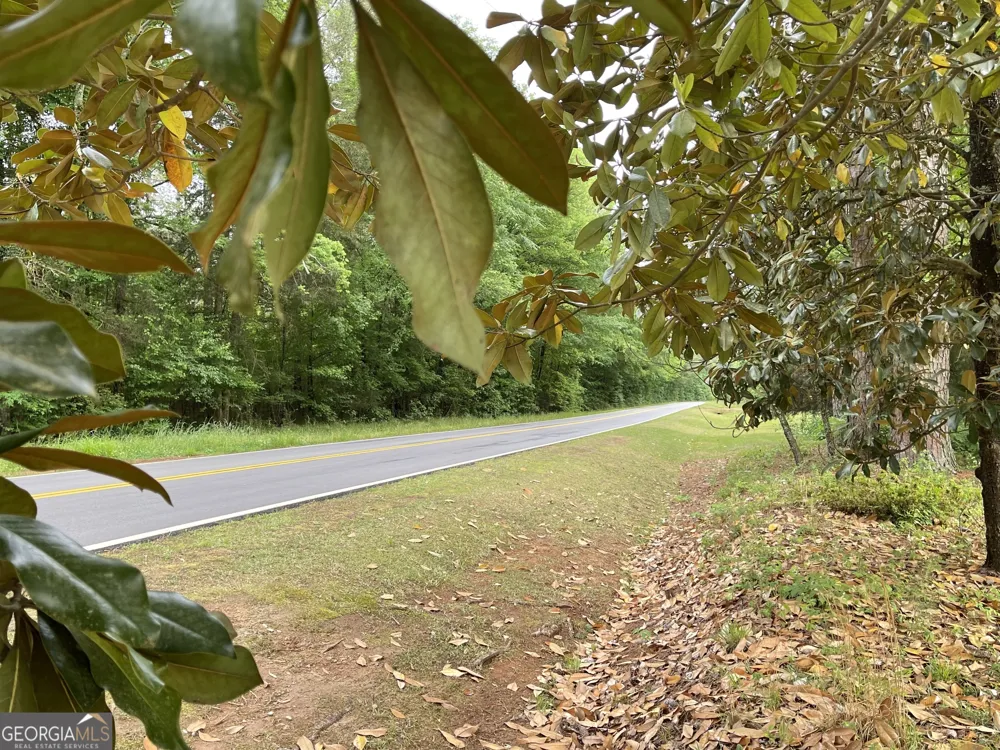 837 Bartram Trace RD Rayle, GA 30660