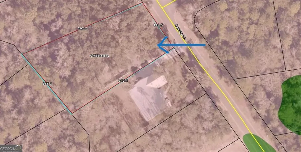LOT 139 Canopy LN Waverly, GA 31565