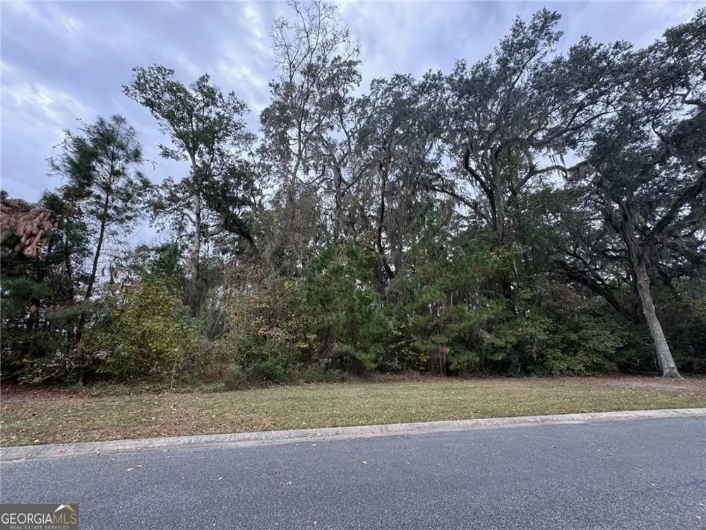 LOT 139 Canopy LN Waverly, GA 31565