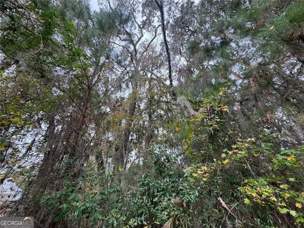 LOT 139 Canopy LN Waverly, GA 31565