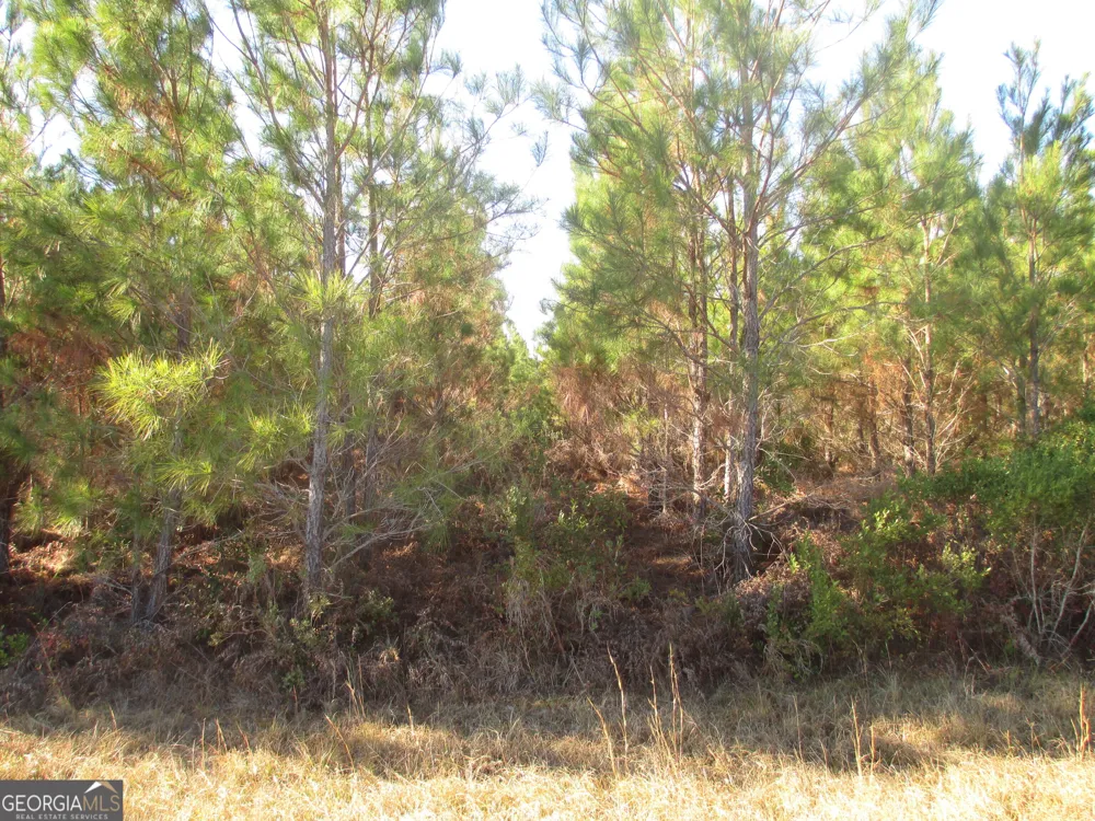 0088 003A Pine Level Church RD Hazlehurst, GA 31539