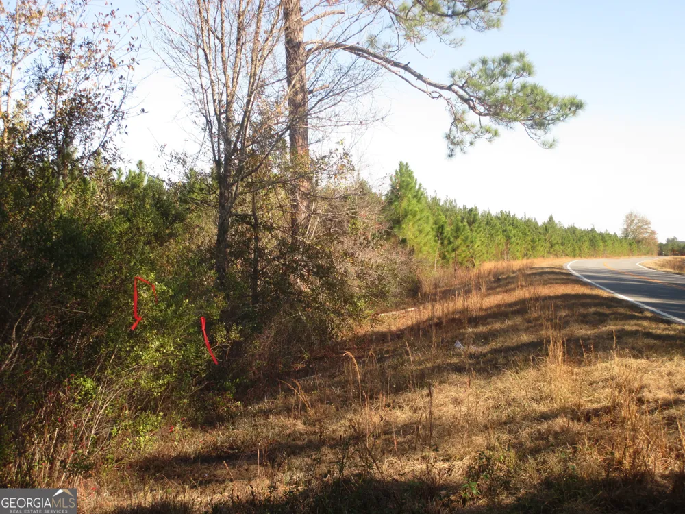 0088 003A Pine Level Church RD Hazlehurst, GA 31539