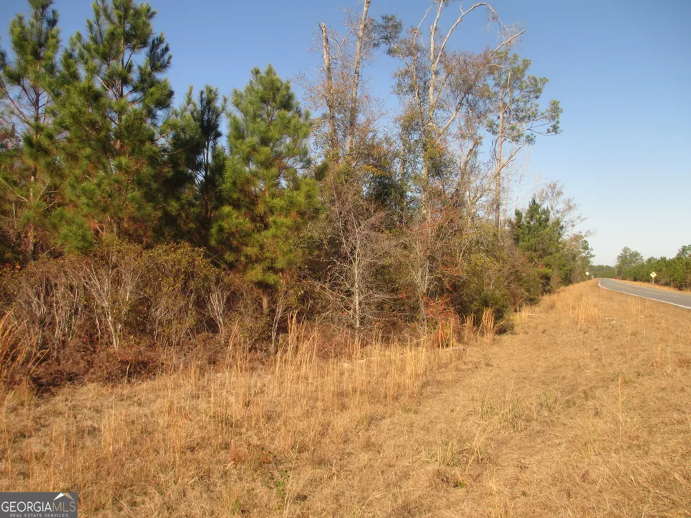 0088 003A Pine Level Church RD Hazlehurst, GA 31539
