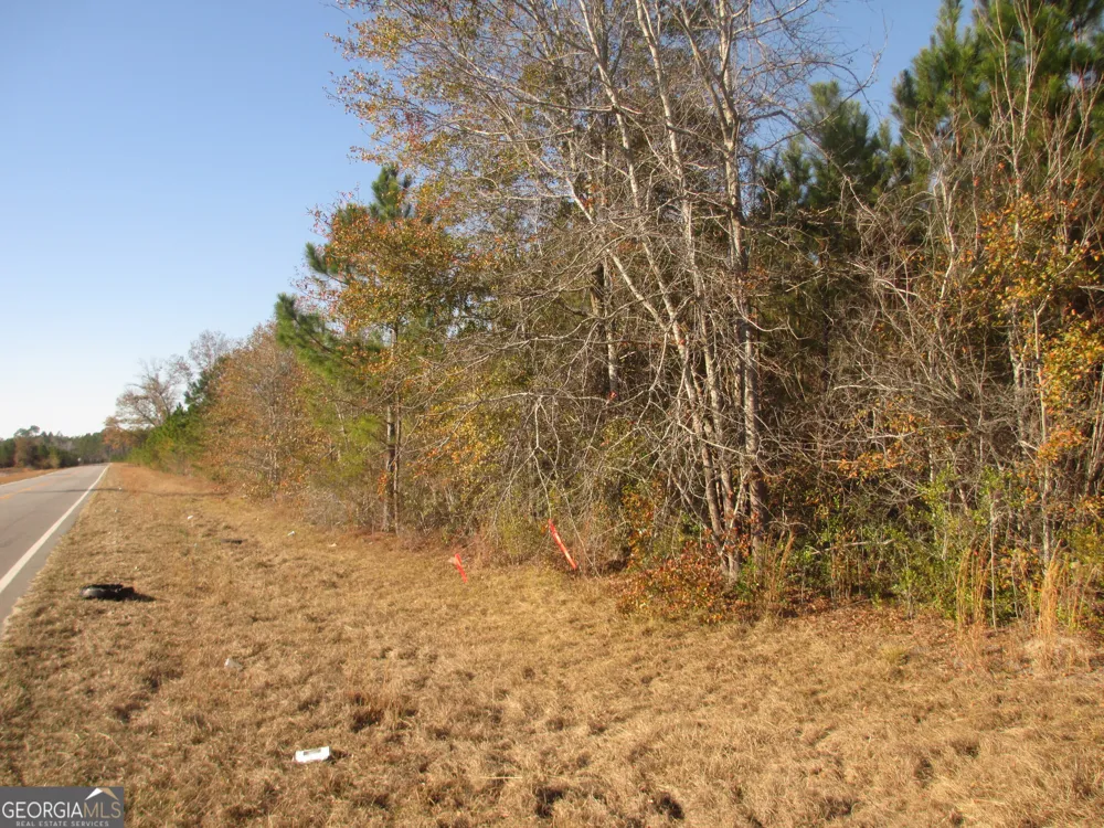 0088 003A Pine Level Church RD Hazlehurst, GA 31539