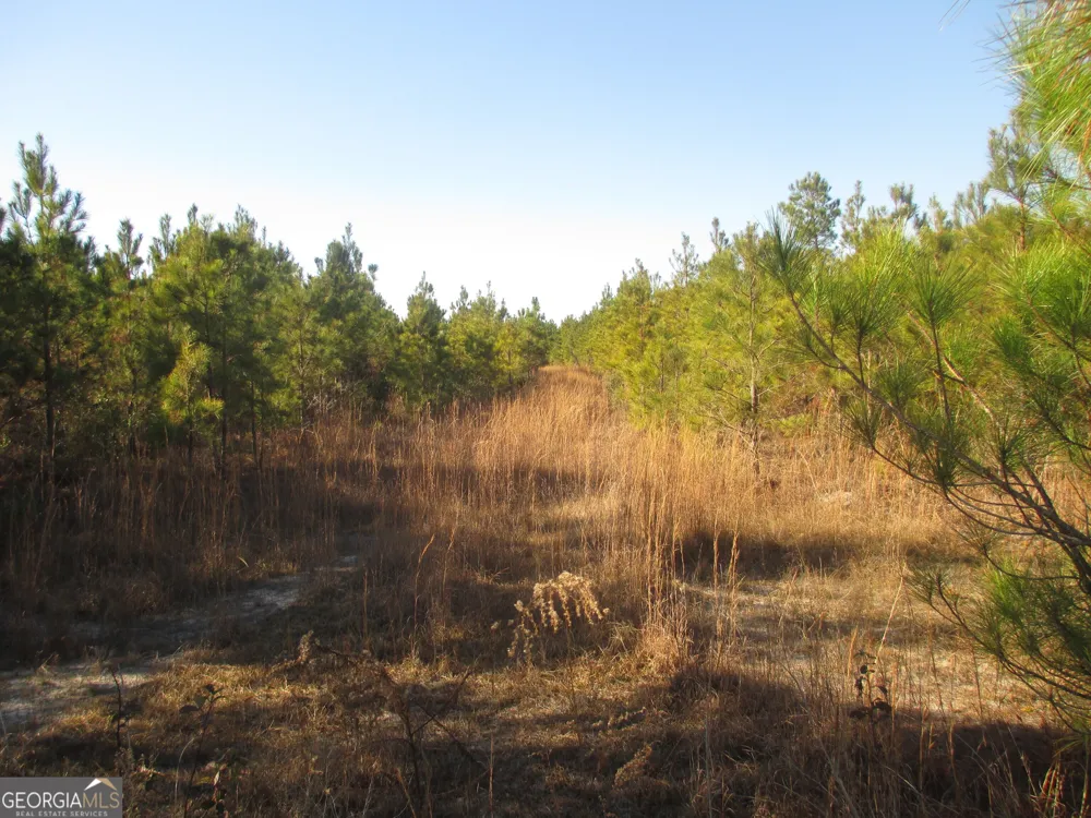 0088 003A Pine Level Church RD Hazlehurst, GA 31539
