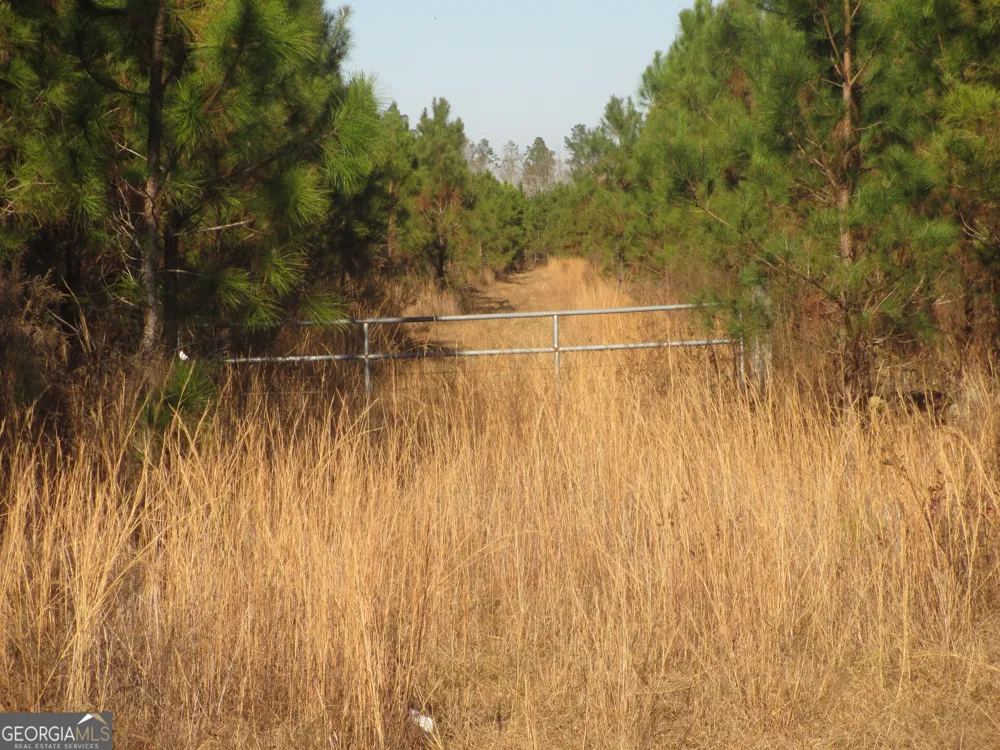 0088 003A Pine Level Church RD Hazlehurst, GA 31539