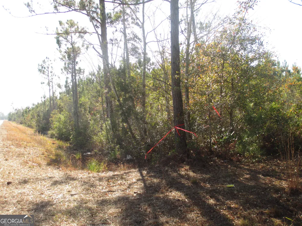 0088 003A Pine Level Church RD Hazlehurst, GA 31539