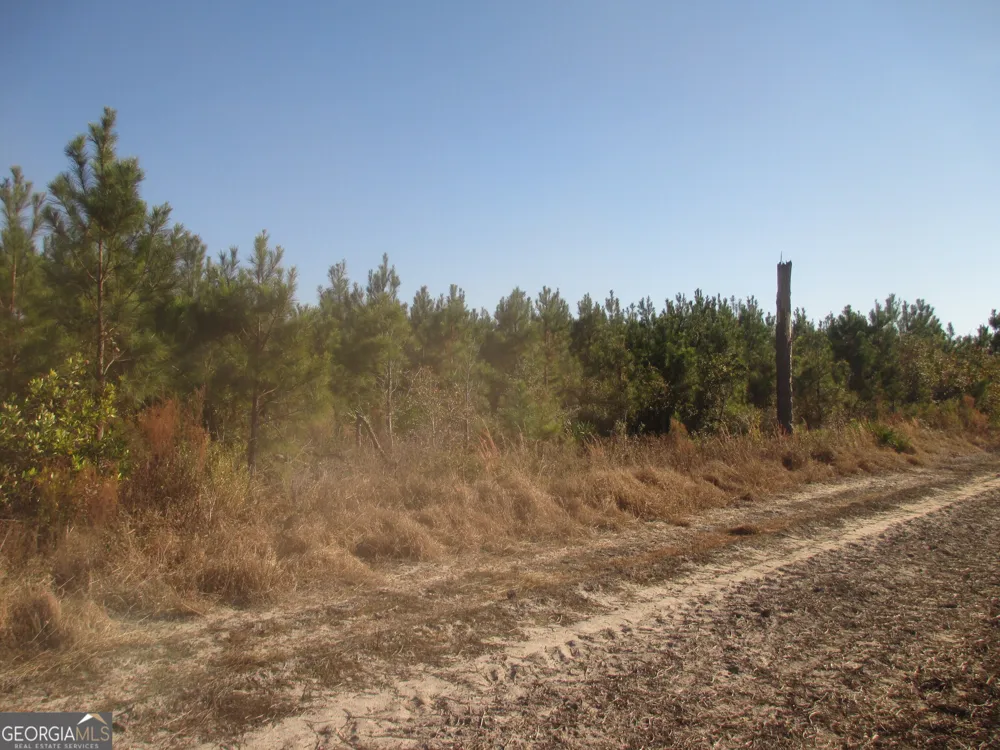 0088 003A Pine Level Church RD Hazlehurst, GA 31539