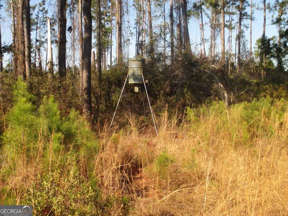 0088 003A Pine Level Church RD Hazlehurst, GA 31539