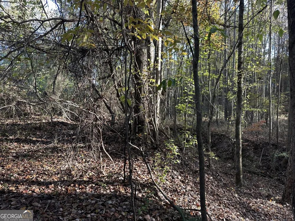 0 Hwy 27 NONE N Carrollton, GA 30117