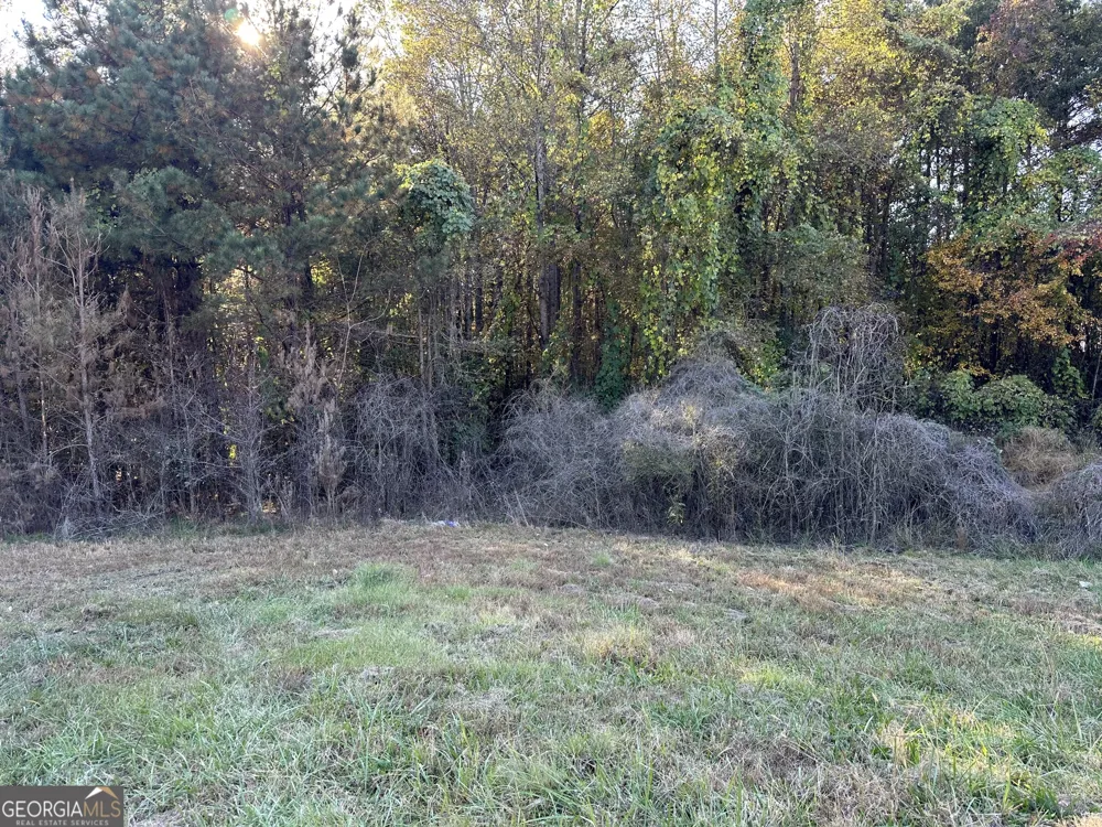 0 Hwy 27 NONE N Carrollton, GA 30117