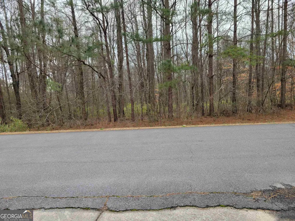 0 Lakeridge DR Temple, GA 30179