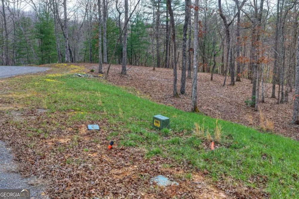 LT 13 Rocky RDG Mineral Bluff, GA 30559