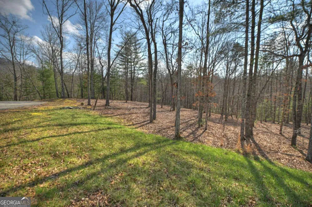 LT 13 Rocky RDG Mineral Bluff, GA 30559