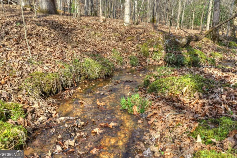 LT 13 Rocky RDG Mineral Bluff, GA 30559