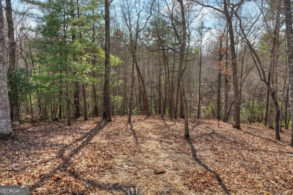 LT 13 Rocky RDG Mineral Bluff, GA 30559