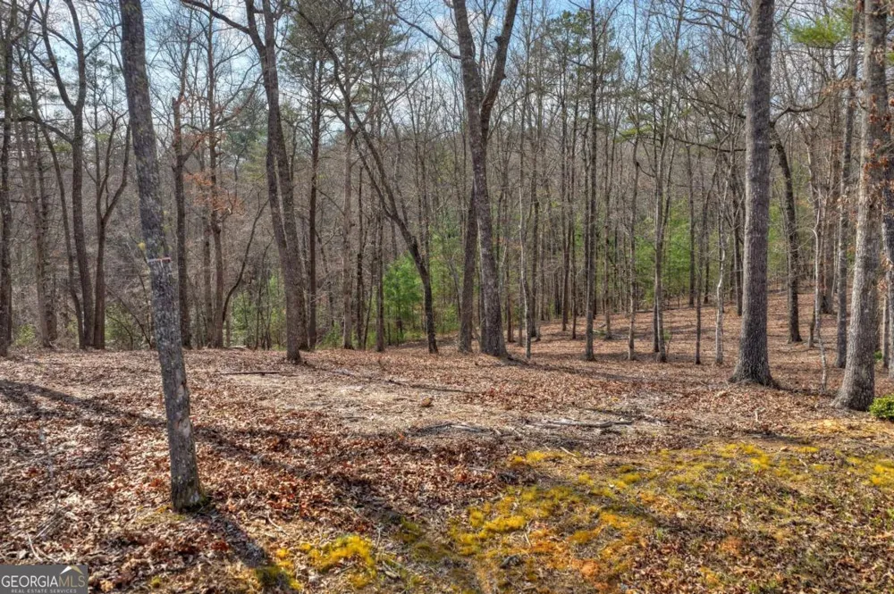 LT 13 Rocky RDG Mineral Bluff, GA 30559