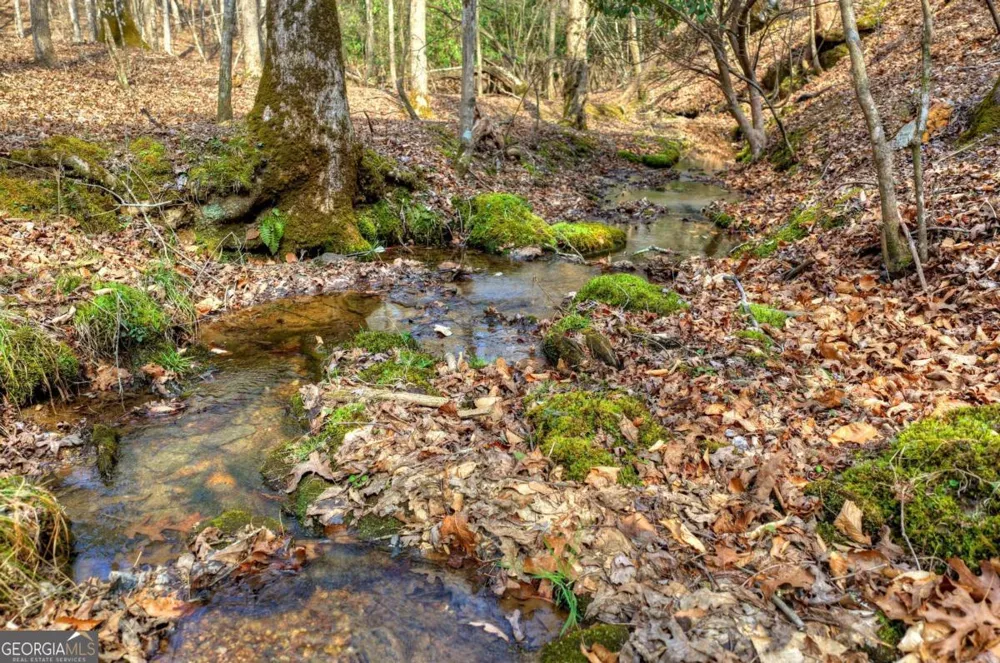 LT 13 Rocky RDG Mineral Bluff, GA 30559