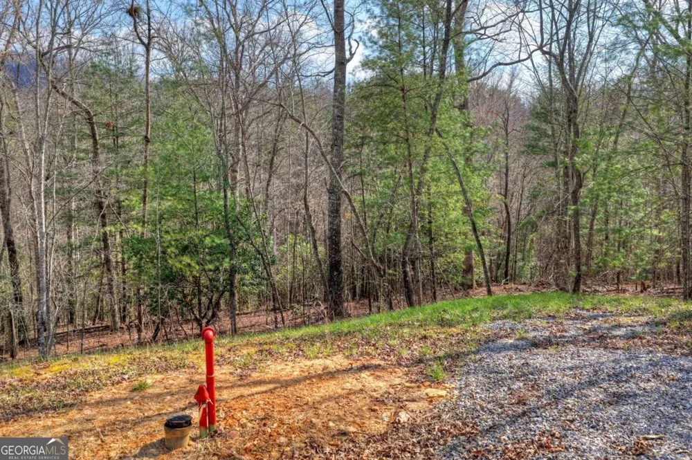 LT 13 Rocky RDG Mineral Bluff, GA 30559