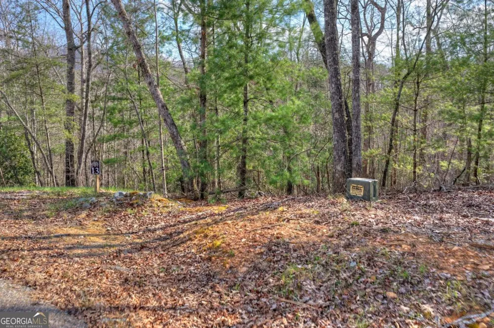 LT 13 Rocky RDG Mineral Bluff, GA 30559
