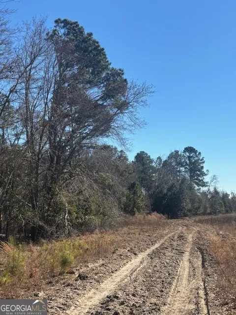 0 Starfish LN Lyons, GA 30436
