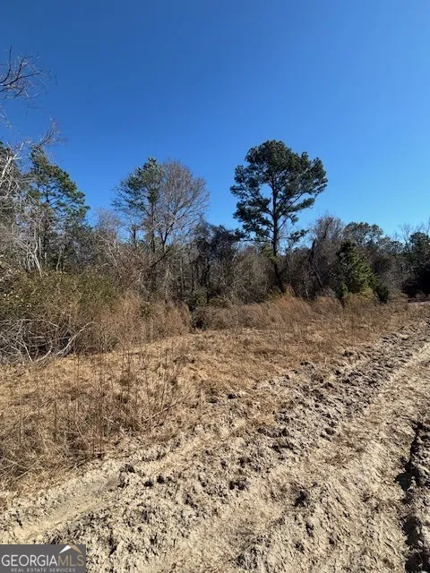 0 Starfish LN Lyons, GA 30436