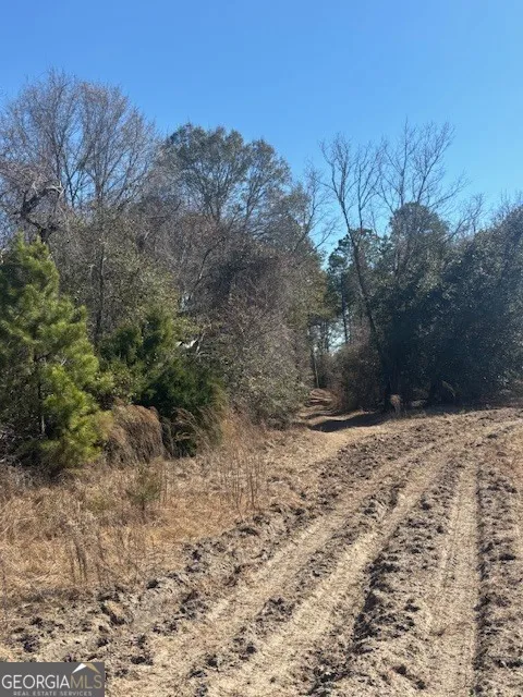 0 Starfish LN Lyons, GA 30436