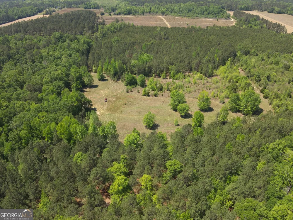 3841 Wilson RD Davisboro, GA 31018