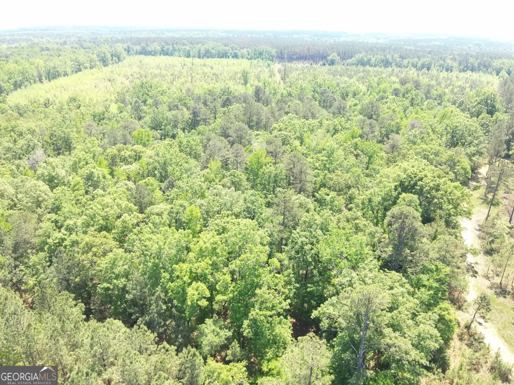 3841 Wilson RD Davisboro, GA 31018