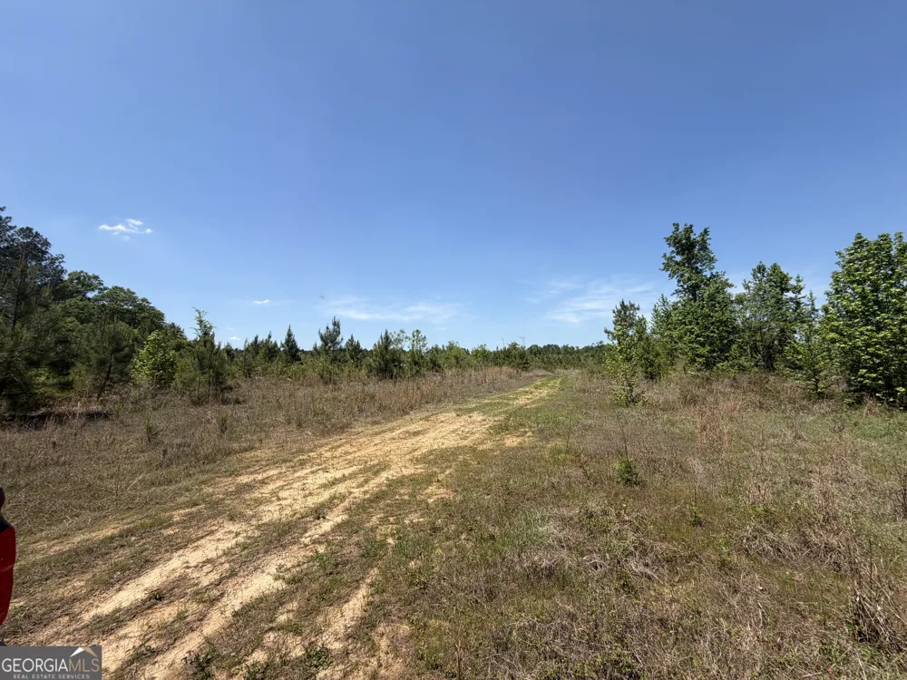 3841 Wilson RD Davisboro, GA 31018