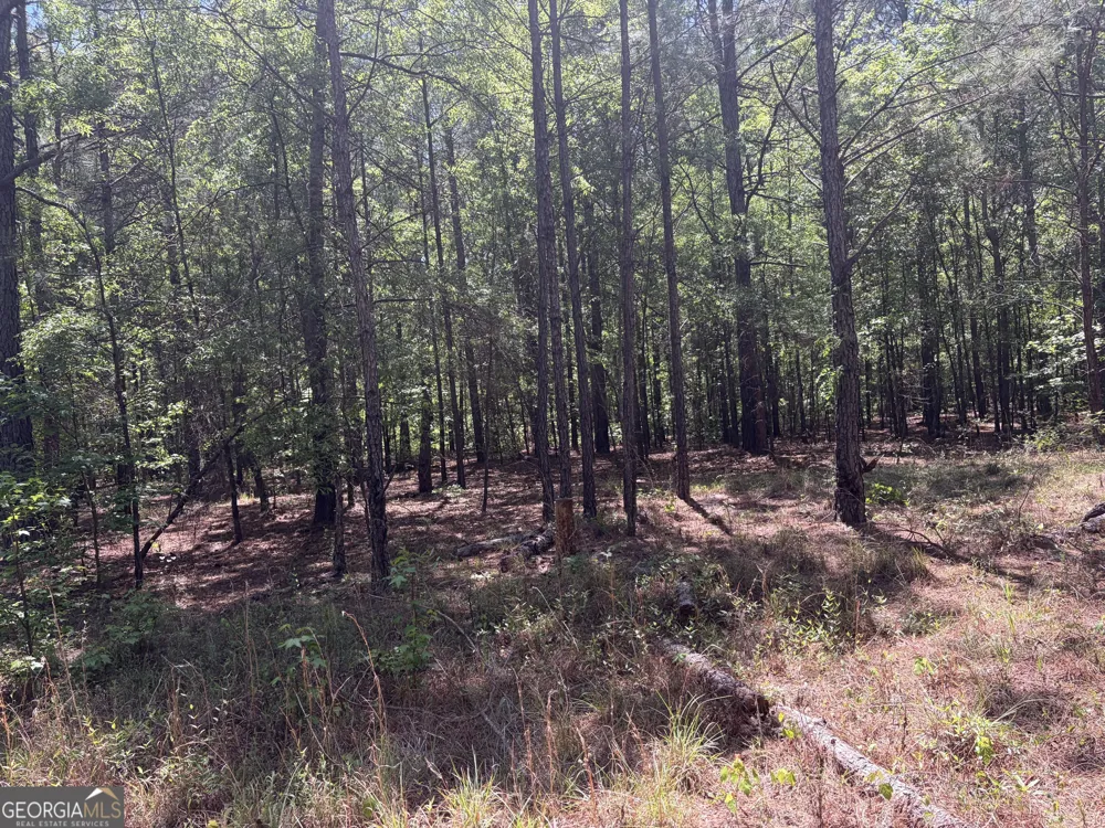 3841 Wilson RD Davisboro, GA 31018
