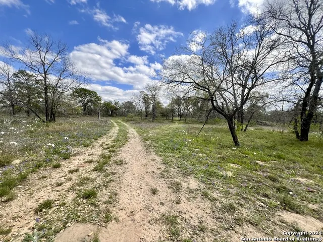0 CR 781 Natalia, TX 78059