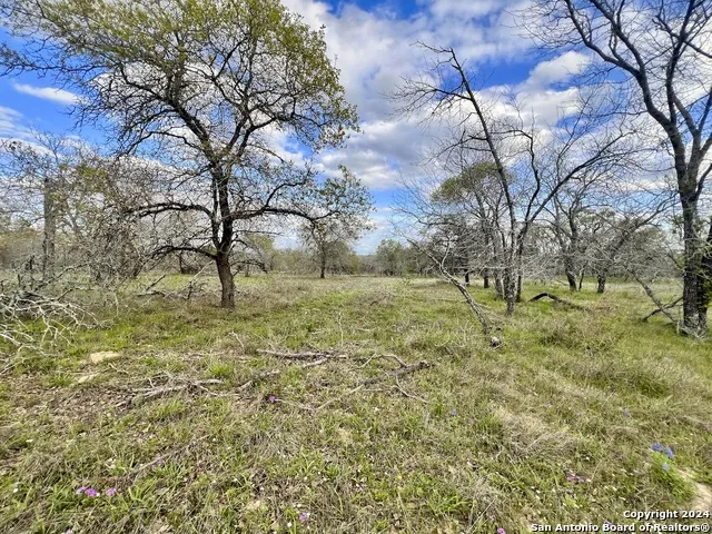 0 CR 781 Natalia, TX 78059
