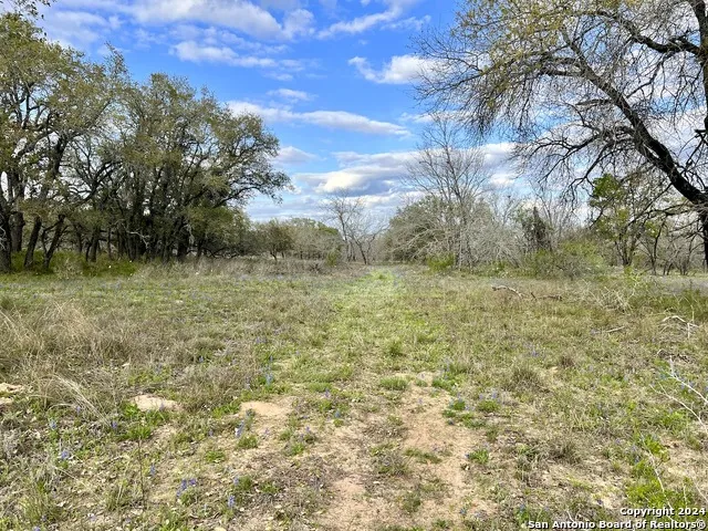 0 CR 781 Natalia, TX 78059