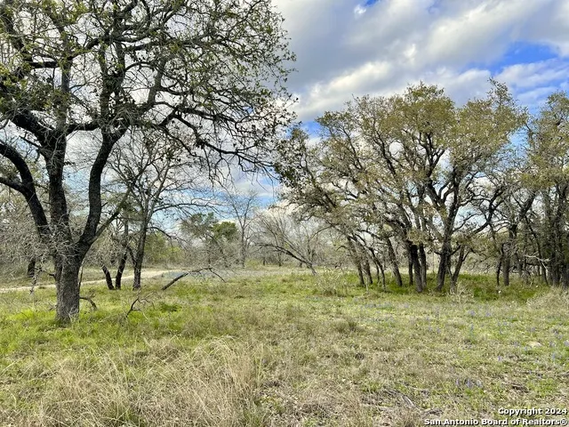 0 CR 781 Natalia, TX 78059