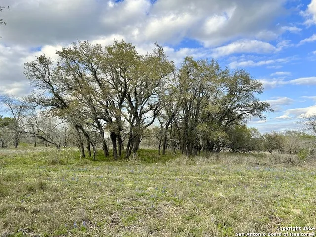 0 CR 781 Natalia, TX 78059