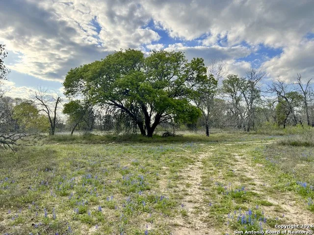 0 CR 781 Natalia, TX 78059