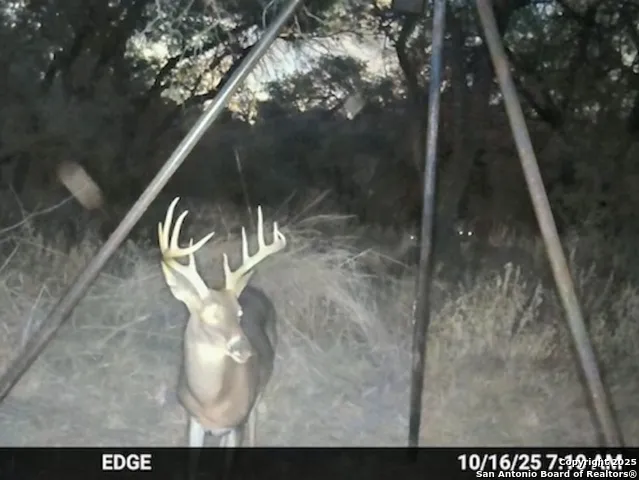 0 CR 781 Natalia, TX 78059