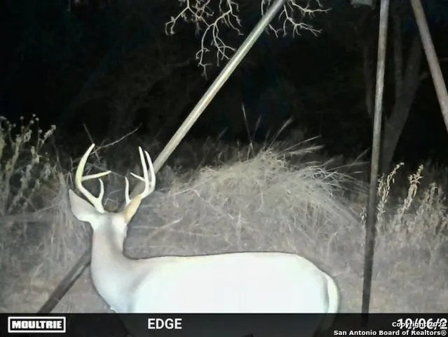 0 CR 781 Natalia, TX 78059