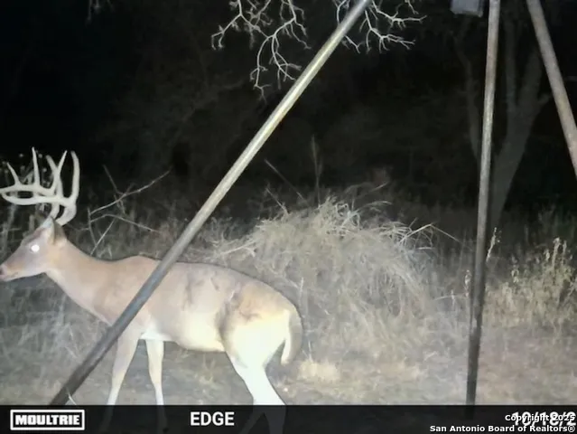 0 CR 781 Natalia, TX 78059