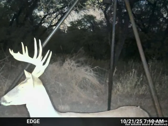 0 CR 781 Natalia, TX 78059