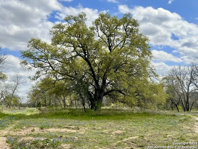 0 CR 781 Natalia, TX 78059