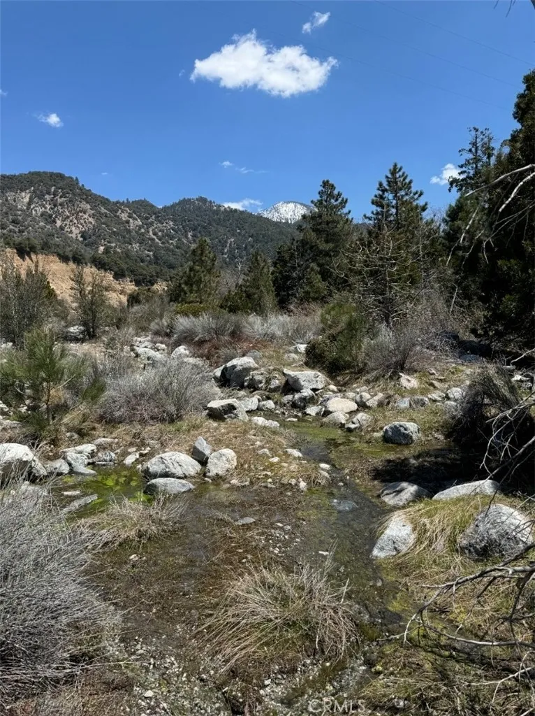 40994 Spruce Forest Falls, CA 92339