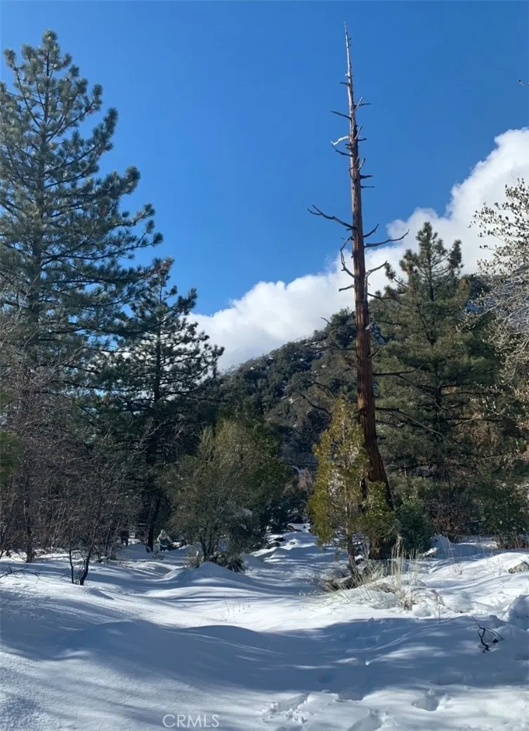 40994 Spruce Forest Falls, CA 92339