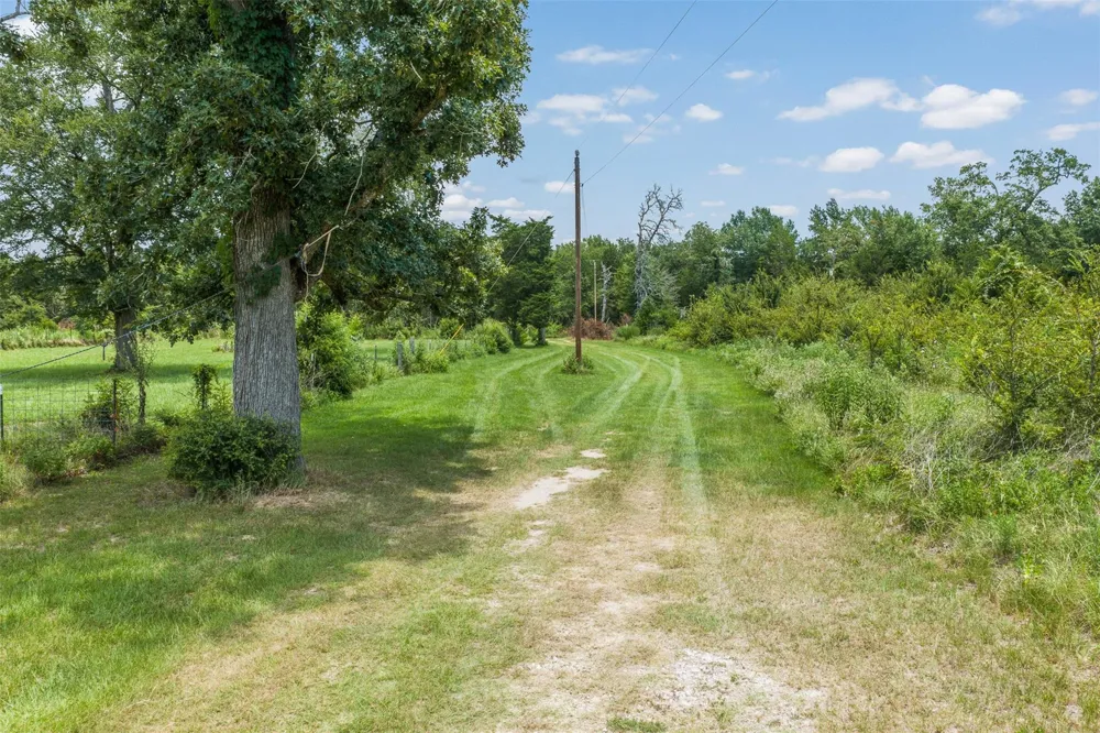 15126 Pr 4460 Normangee, TX 77871